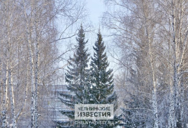 Морозы в Татарстане сменятся сильными метелями