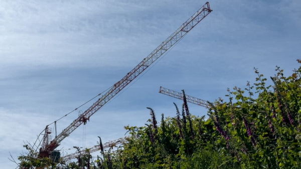 Ради элитного жилья в Алматы уничтожают горы и лога