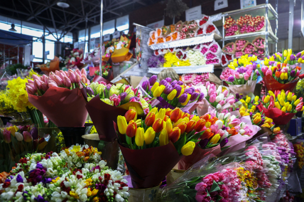 Россиян предупредили о подорожании цветов в преддверии 8 Марта
