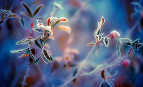 Похолодание ожидается на большей части Казахстана