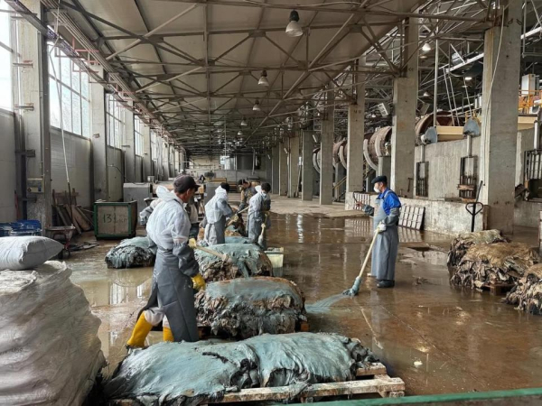 В ЗКО модернизировали предприятие кожевенной отрасли