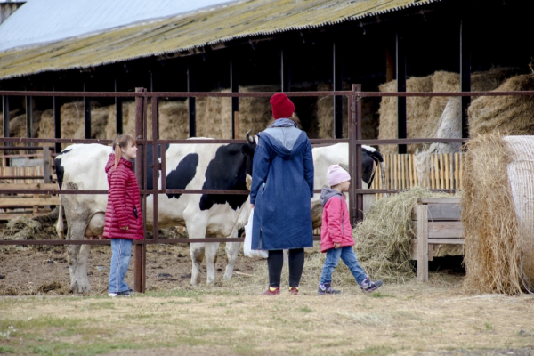 От агроклассов до геномной селекции: как Нижегородская область выстраивает технологический суверенитет в АПК
