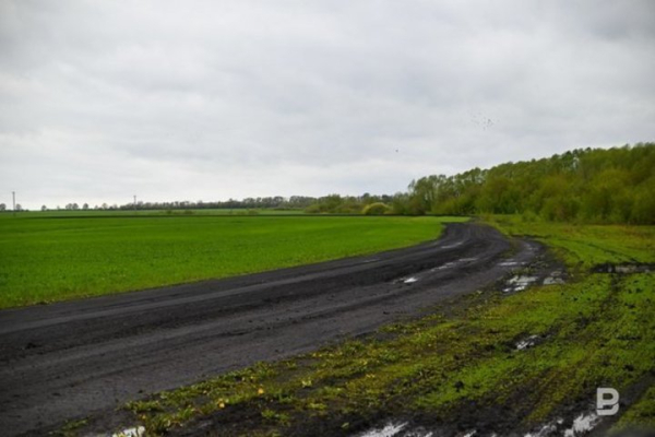 В Татарстане в 2026 году проведут плановую кадастровую оценку земель