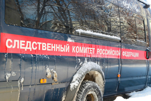 СК ответил на слухи об обнаружении тел Усольцевых