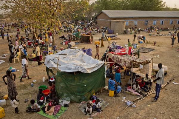 В Чаде две семьи не поделили колодец, из-за чего погибли 42 человека