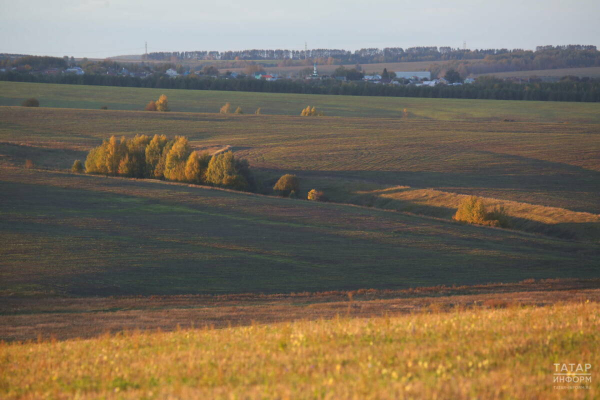 Земельный надзор в Татарстане в 2025 году охватил почти 8% сельхозземель