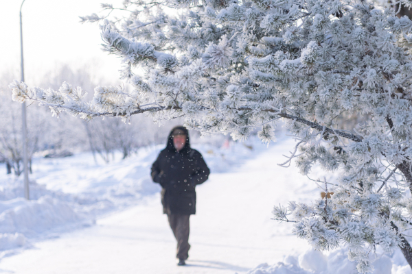 Эксперт сравнил нынешнюю зиму с&nbsp;прошлой в&nbsp;Татарстане: &laquo;Это аномально&raquo;