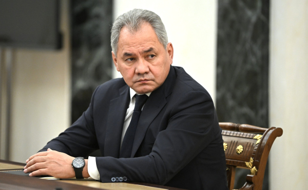 Шойгу: Ереван не хочет проводить референдум по членству в ЕАЭС