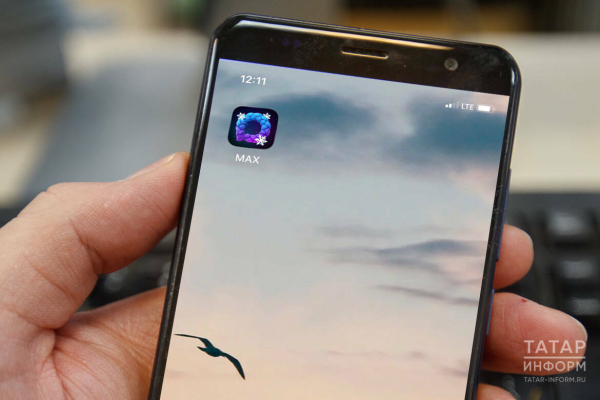 MAX: Сообщения о возможности продажи &laquo;Цифрового ID&raquo; не соответствуют действительности