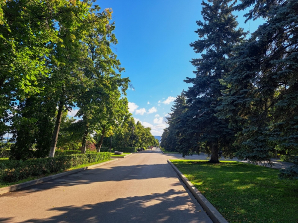 На Сахалине появятся &laquo;Сны о Чехове&raquo; и &laquo;Северный ветер&raquo;: утверждены проекты-победители