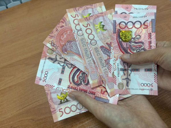 Как Правительство использовало бюджет в 2024 году: ВАП озвучила итоги
